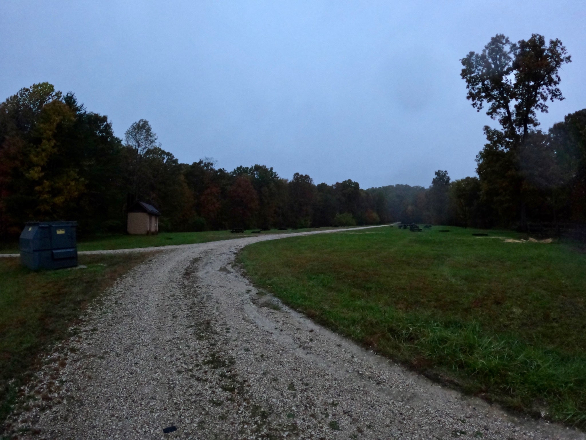 Camper submitted image from Daniel Boone National Forest White Sulphur Horse Camp - 2