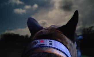 Nathan T.'s photo of camping with a horse at Mountain Cove Resort near Gaylesville, AL