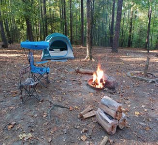 Camper-submitted photo from William B. Umstead State Park Campground