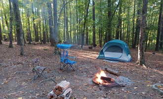 Camping near Canoe Camp — Raven Rock State Park: San-Lee Park, Sanford, North Carolina