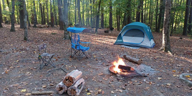 Camper submitted image from San-Lee Park