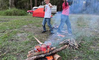 Nate D.'s photo of a dispersed camping area at Cobb Hunt Camp near Folkston, GA