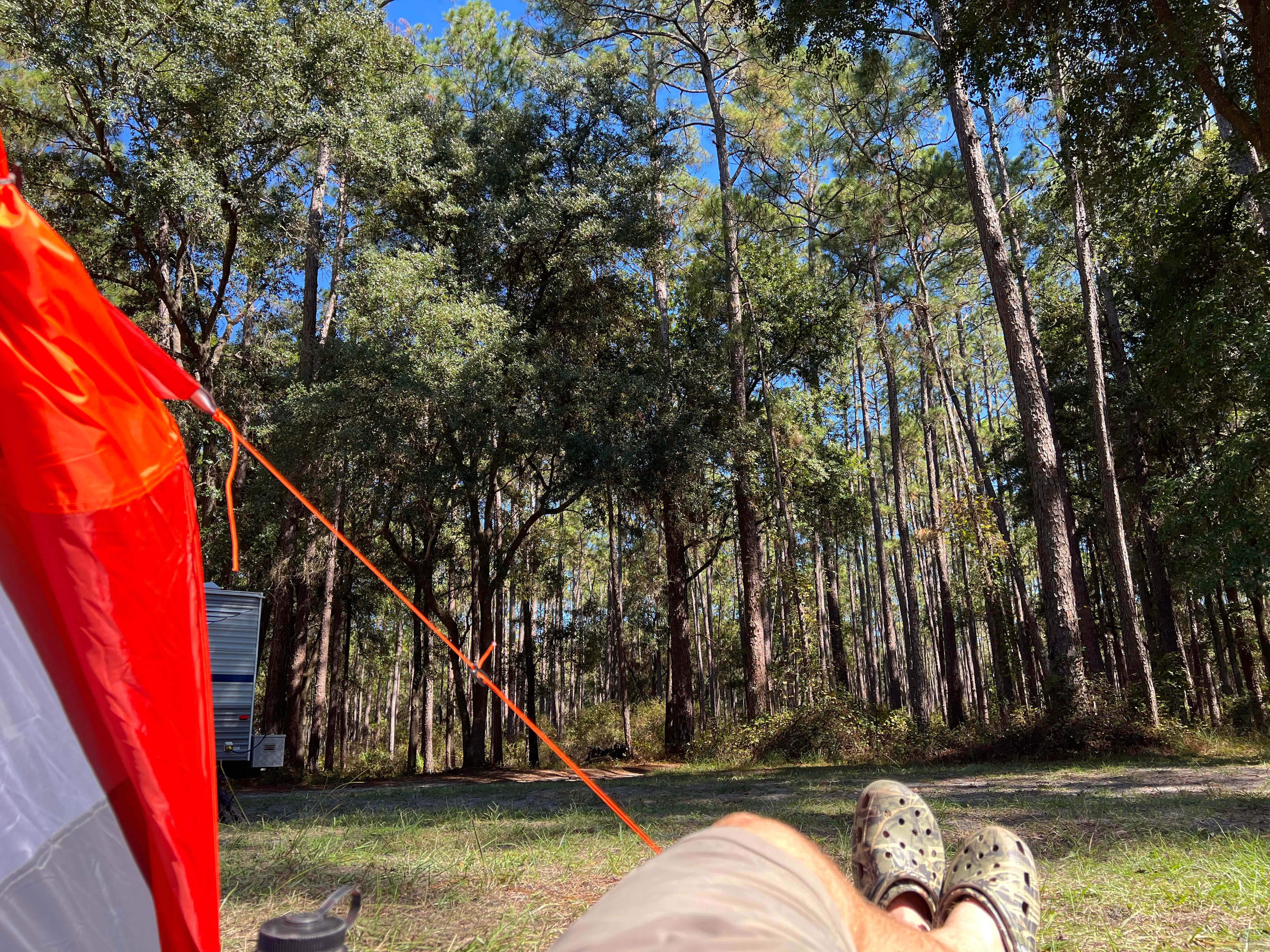 Camper-submitted photo at Cobb Hunt Camp near Olustee, FL