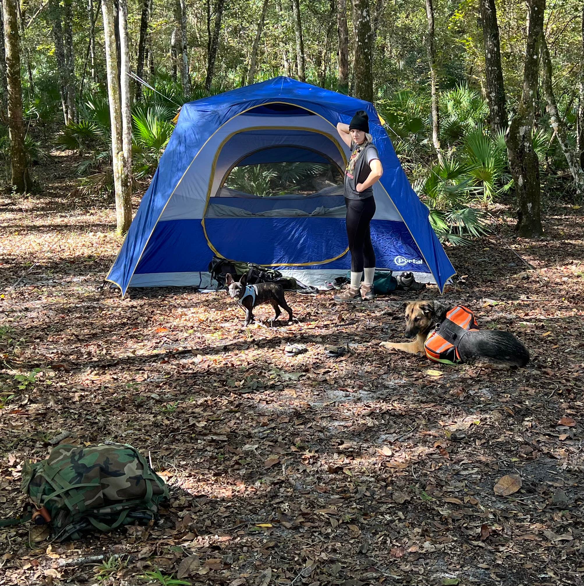 Camper-submitted photo at Black Creek Ravine near Middleburg, FL