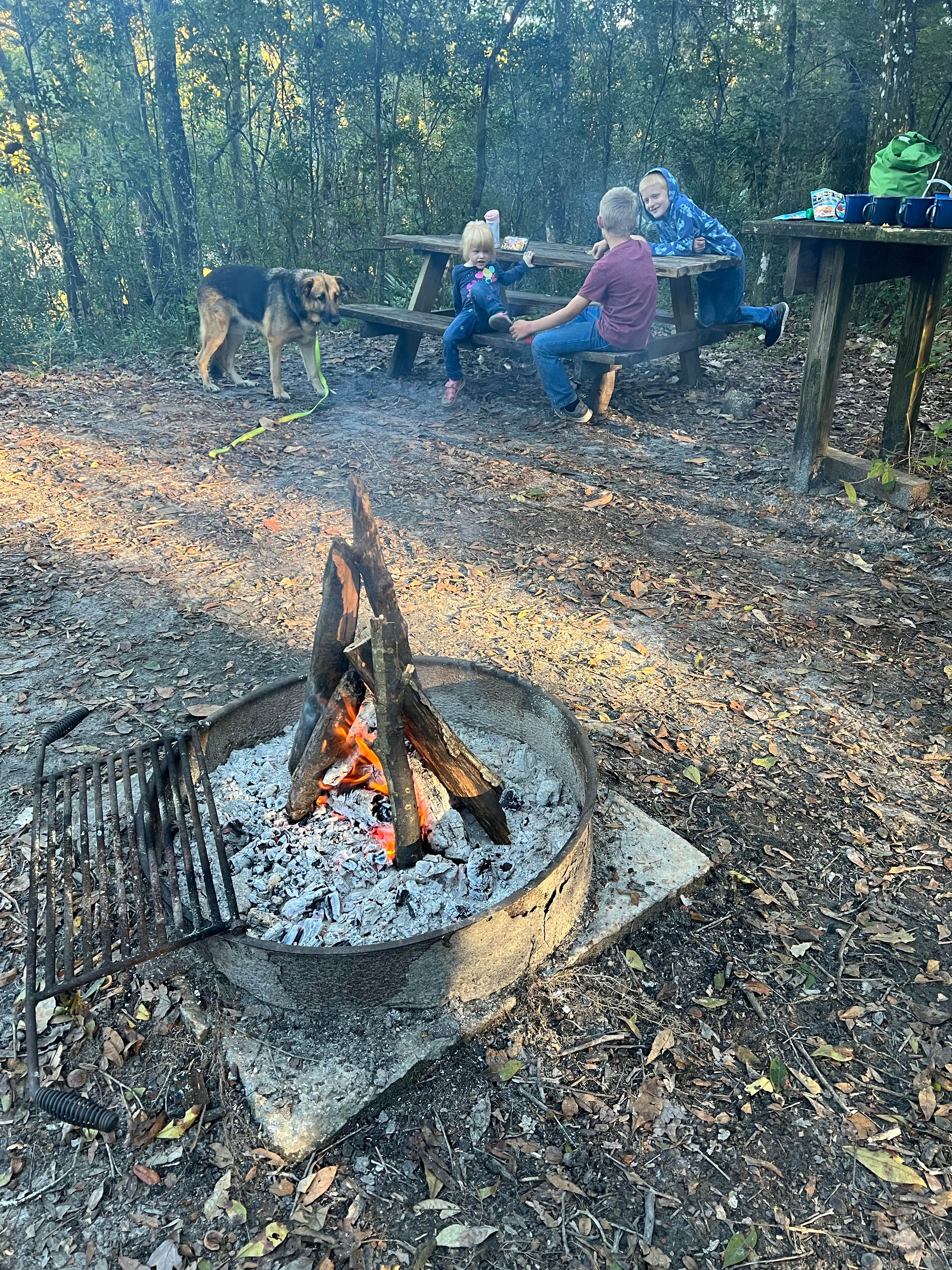Camper-submitted photo at Black Creek Ravine near Middleburg, FL