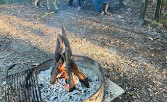 Nate D.'s photo of camping with pets at Black Creek Ravine near Jacksonville, FL