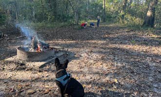 Camping near Camp Chowenwaw Park - Treehouse Point: Black Creek Ravine, Middleburg, Florida