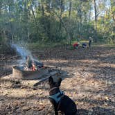 Review photo of Black Creek Ravine by Nate D., November 2, 2021