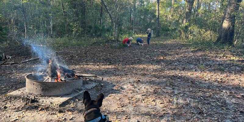 Camper submitted image from Black Creek Ravine