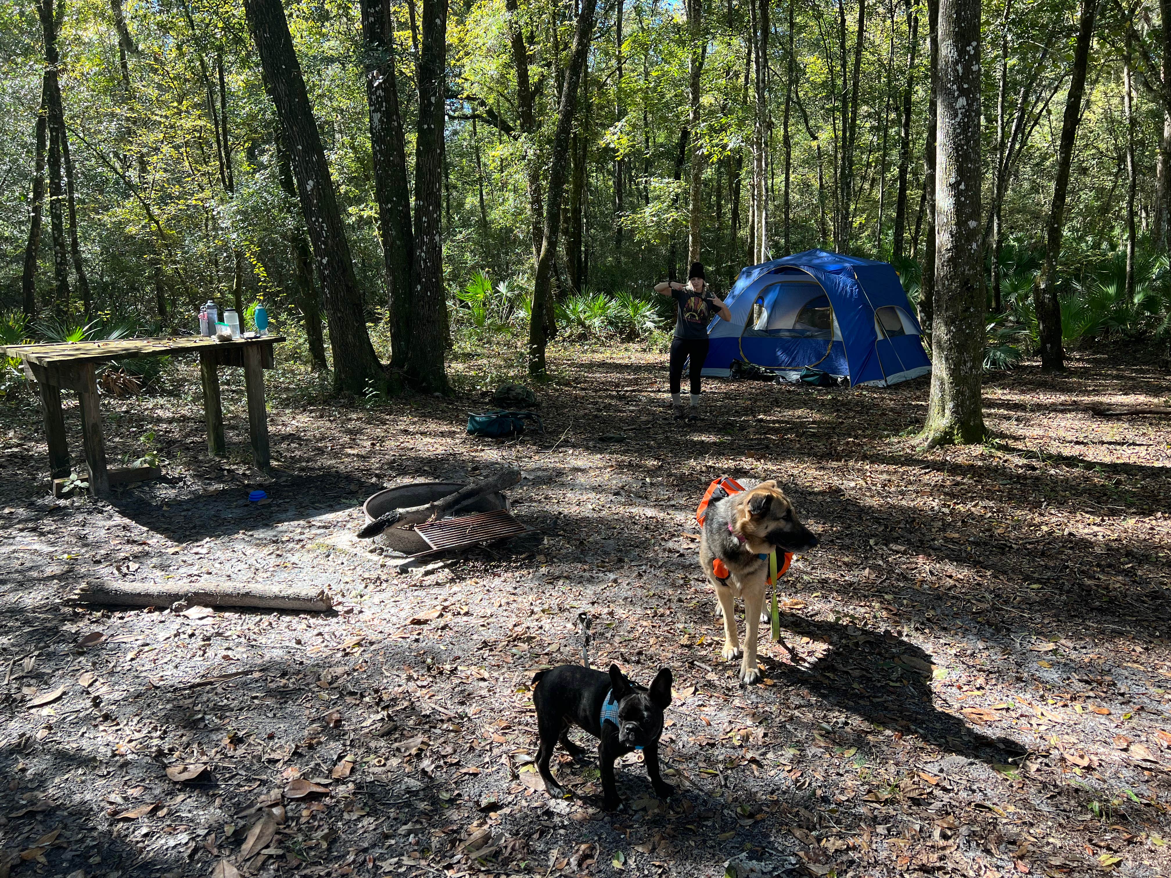 Camper-submitted photo at Black Creek Ravine near Middleburg, FL
