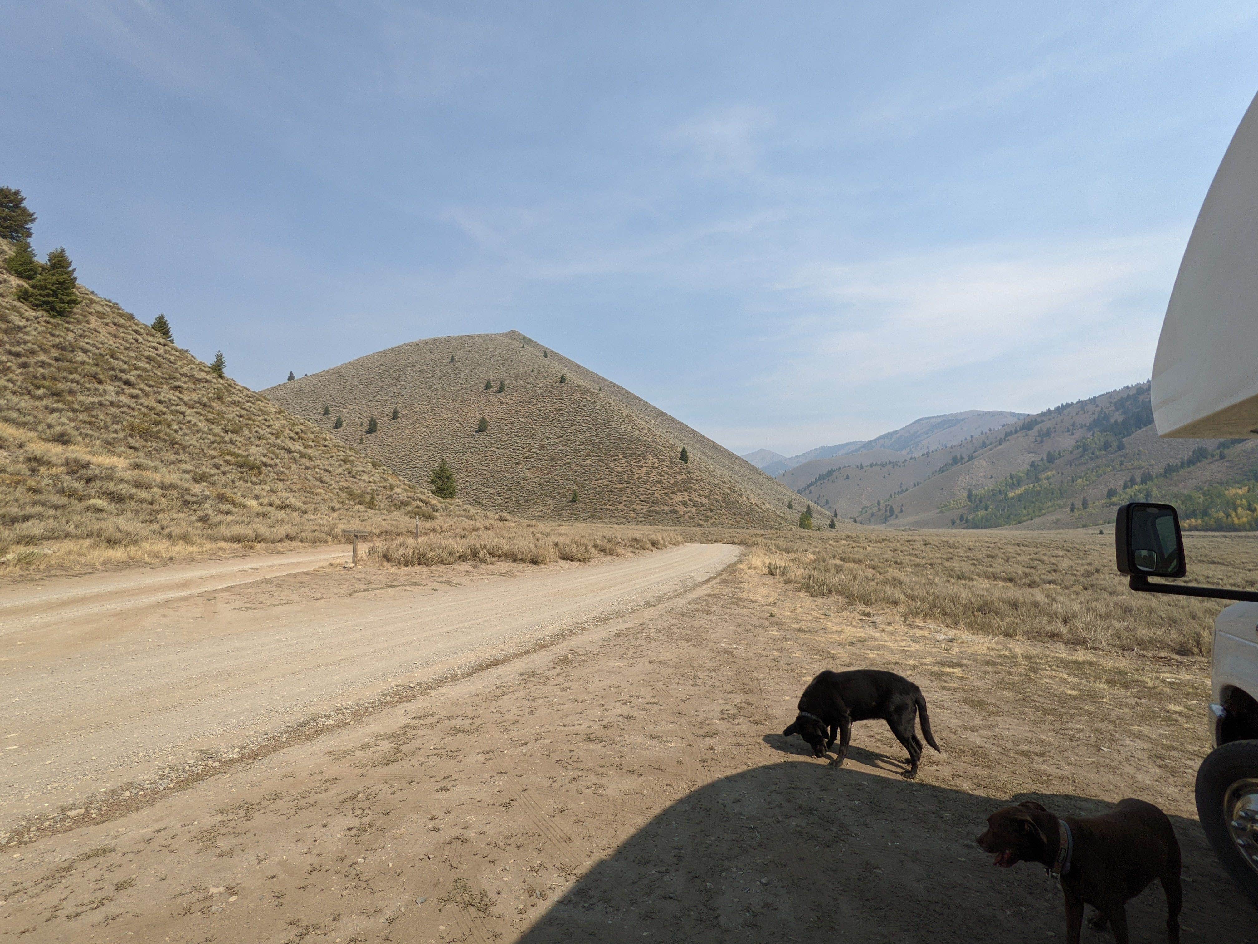 Laura M.'s photo of camping with pets at Lake Creek Rd Dispersed near Sawtooth National Forest