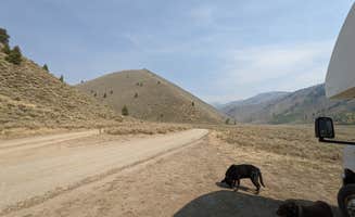 Laura M.'s photo of camping with pets at Lake Creek Rd Dispersed near Mackay, ID