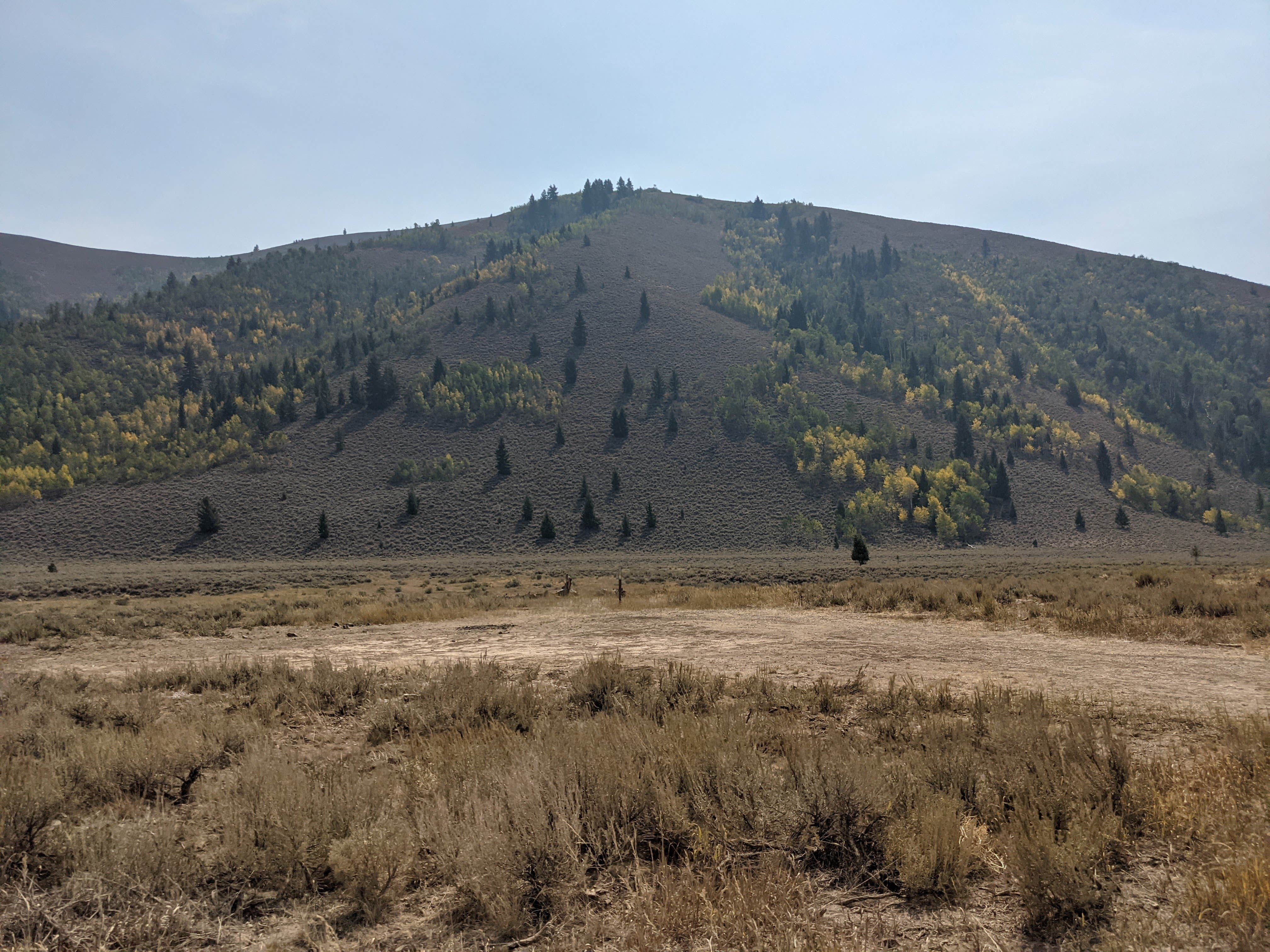 Lake Creek Rd Dispersed