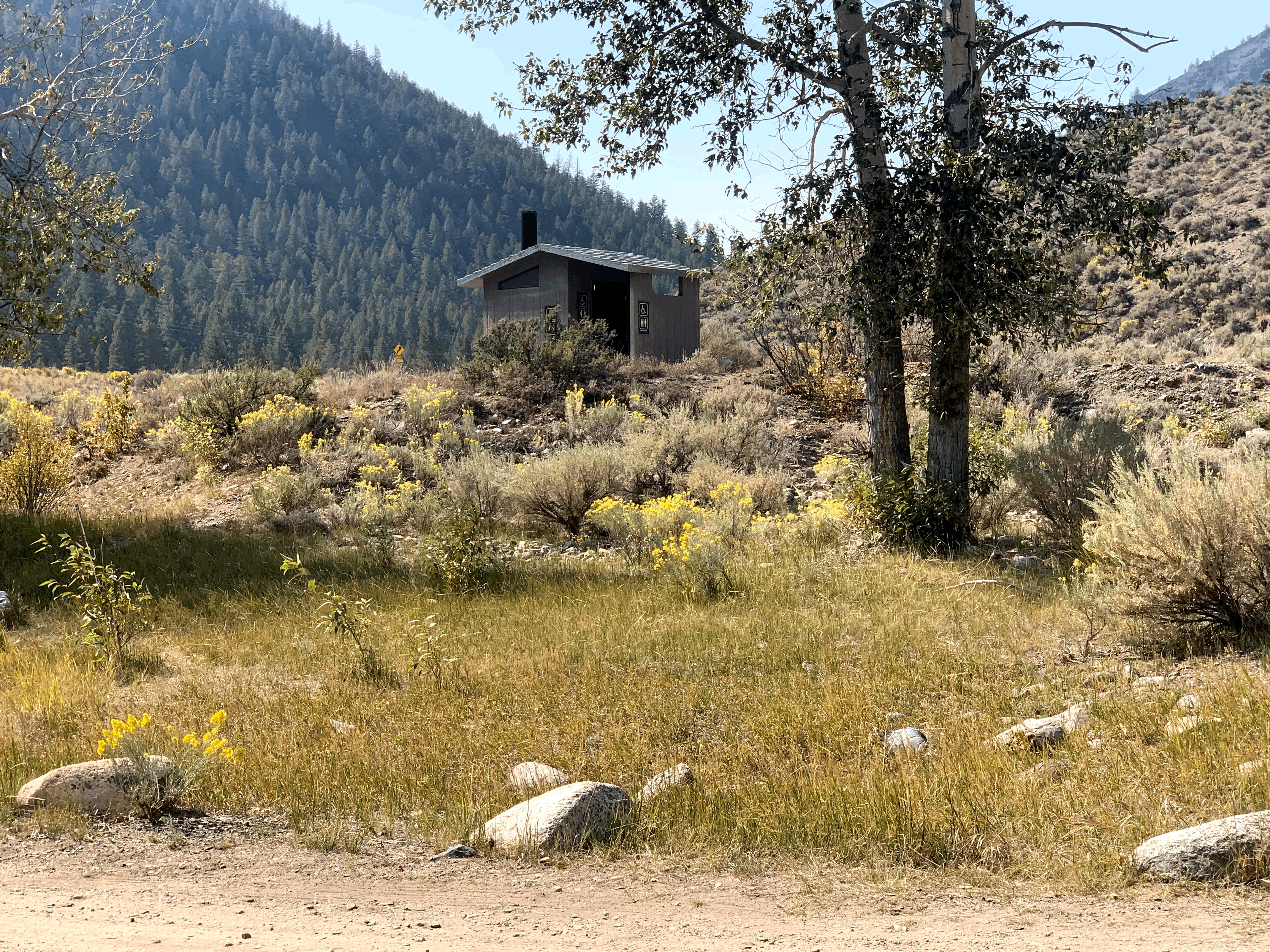 Camper-submitted photo at Whiskey Flats Campground near Clayton, ID