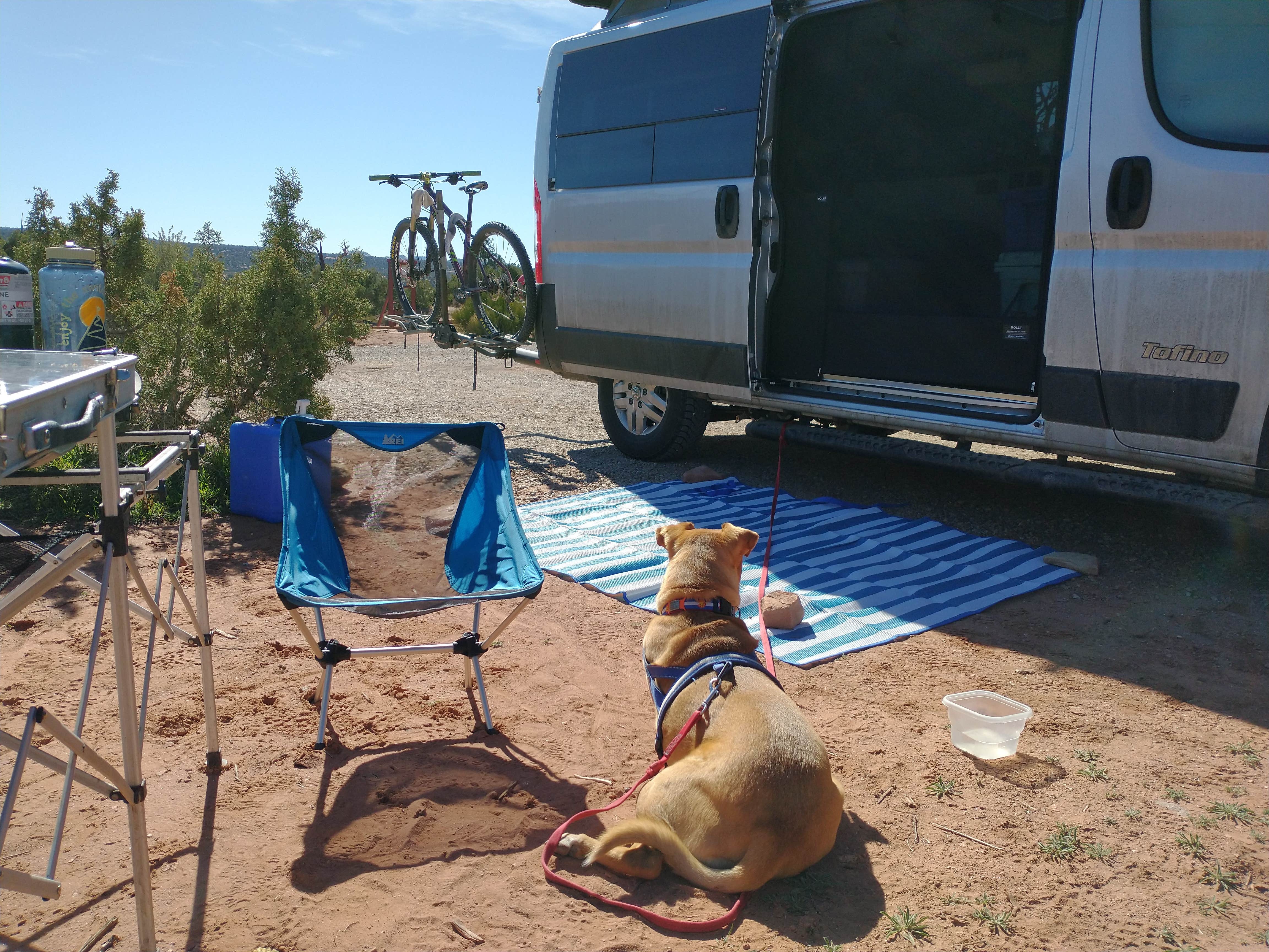 T K.'s photo of camping with pets at Horsethief Campground near Canyonlands National Park