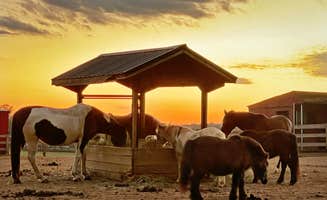 Jed's photo of camping with a horse at Shenandoah Crossing, a Bluegreen Vacations Resort near Waynesboro, VA