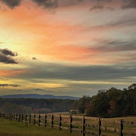 Pasture at sunset