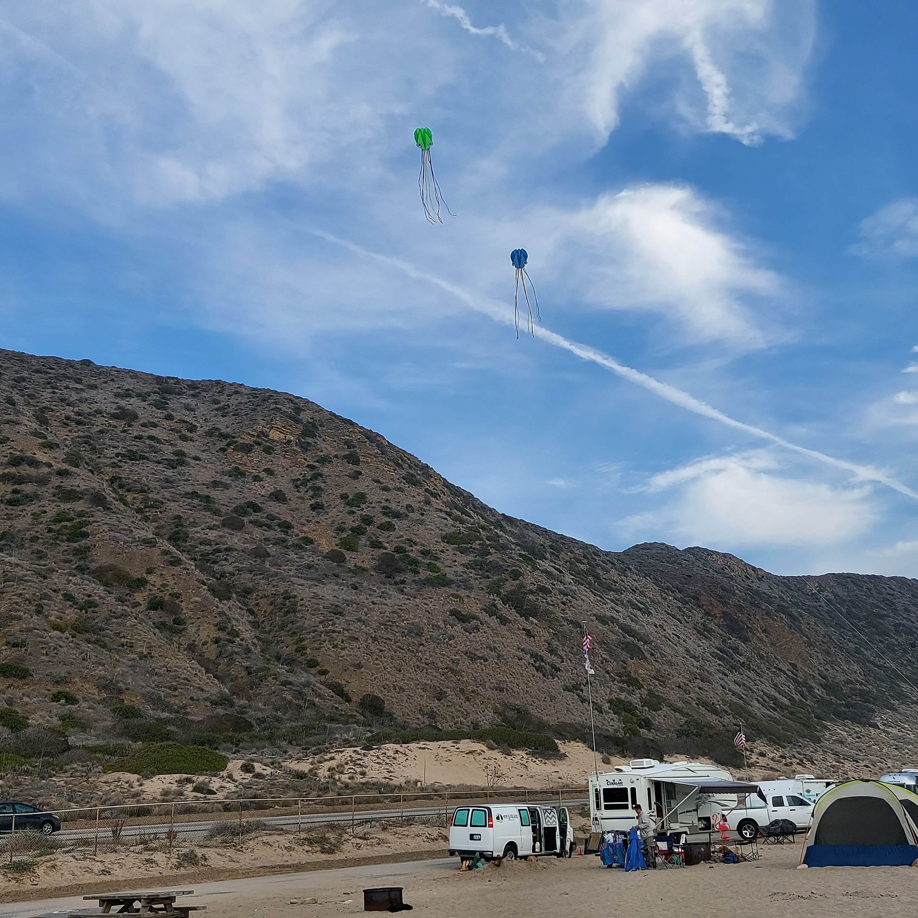 Sook C.'s photo at Thornhill Broome Beach — Point Mugu State Park near Santa Rosa Valley, CA
