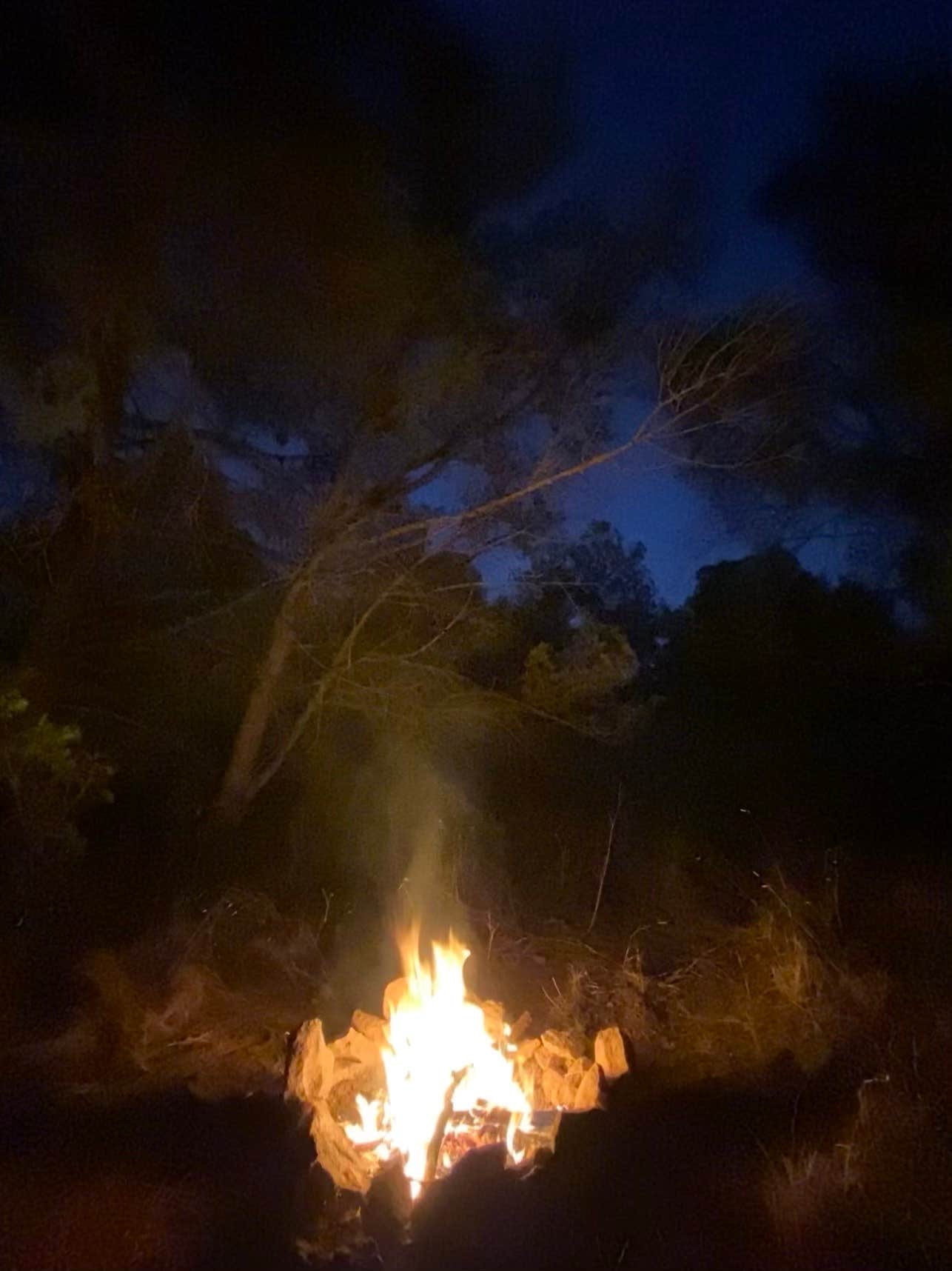 Camper-submitted photo at Sapillo Dispersed Camping Area near Arenas Valley, NM
