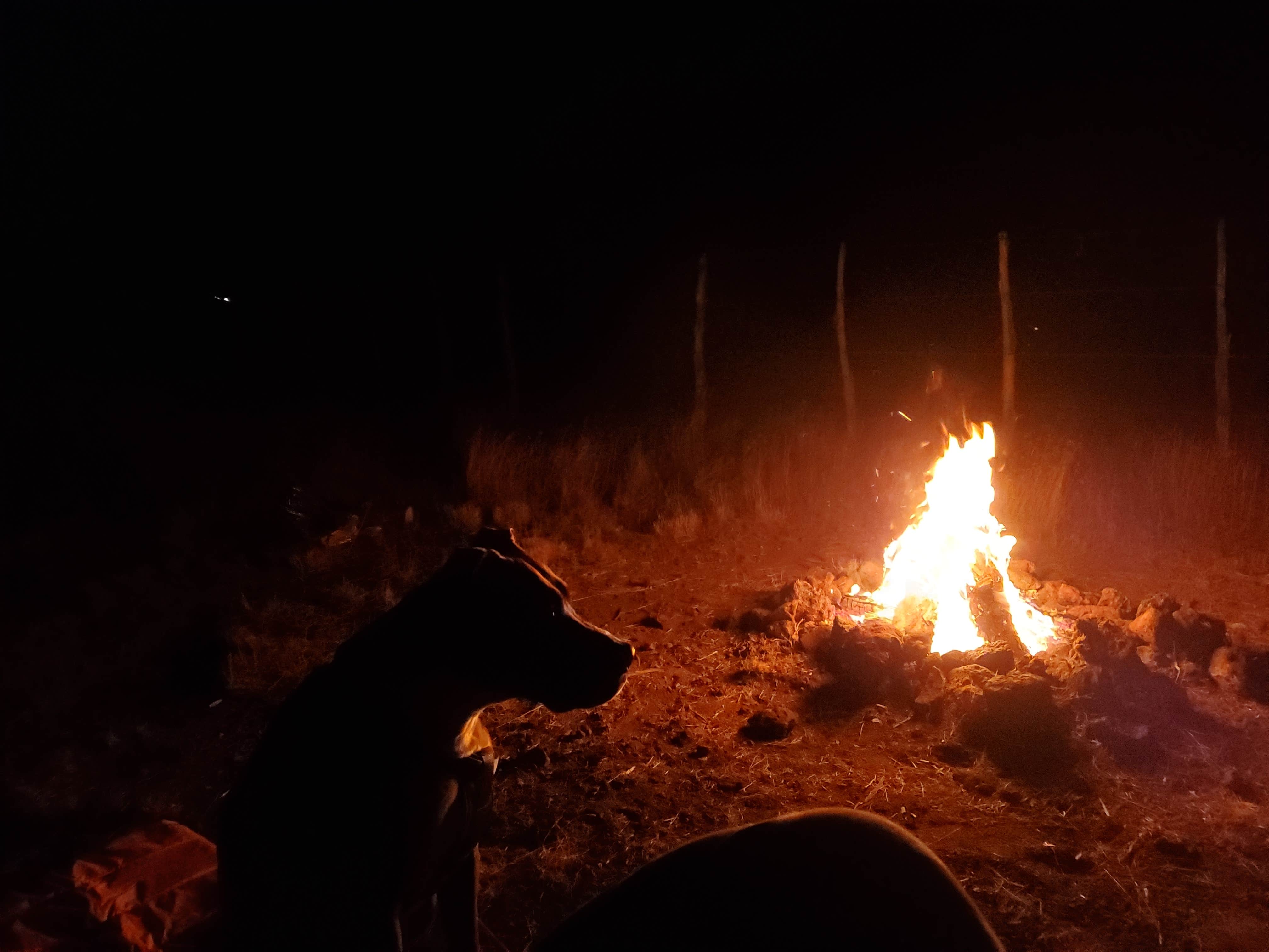 Camper submitted image from A Spark in the Dark - 3