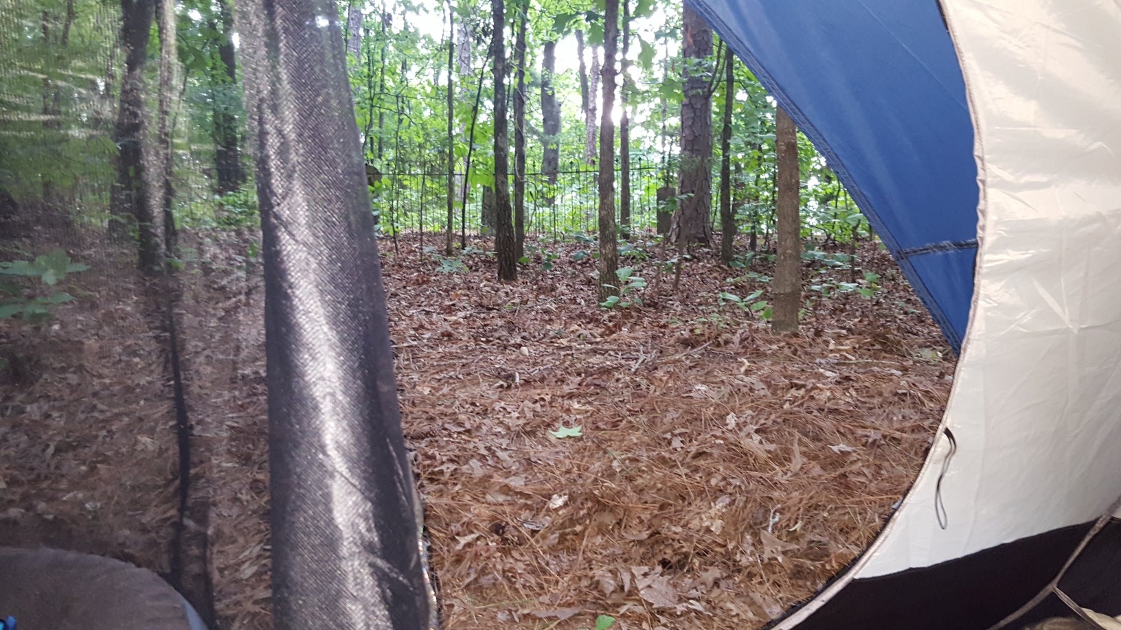 Camper submitted image from Evans Loop Backcountry Site — Tims Ford State Park - 1
