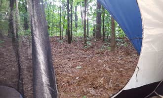 Camping near Cedar Point Campground: Evans Loop Backcountry Site — Tims Ford State Park, Lynchburg, Moore County, Tennessee