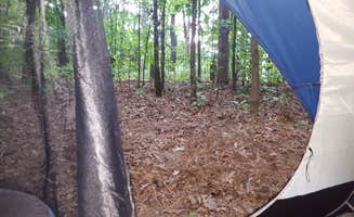 Buddy G.'s photo at Evans Loop Backcountry Site — Tims Ford State Park near Belvidere, TN