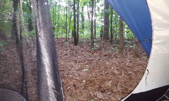 Camping near Twin Creeks RV Resort: Evans Loop Backcountry Site — Tims Ford State Park, Lynchburg, Moore County, Tennessee