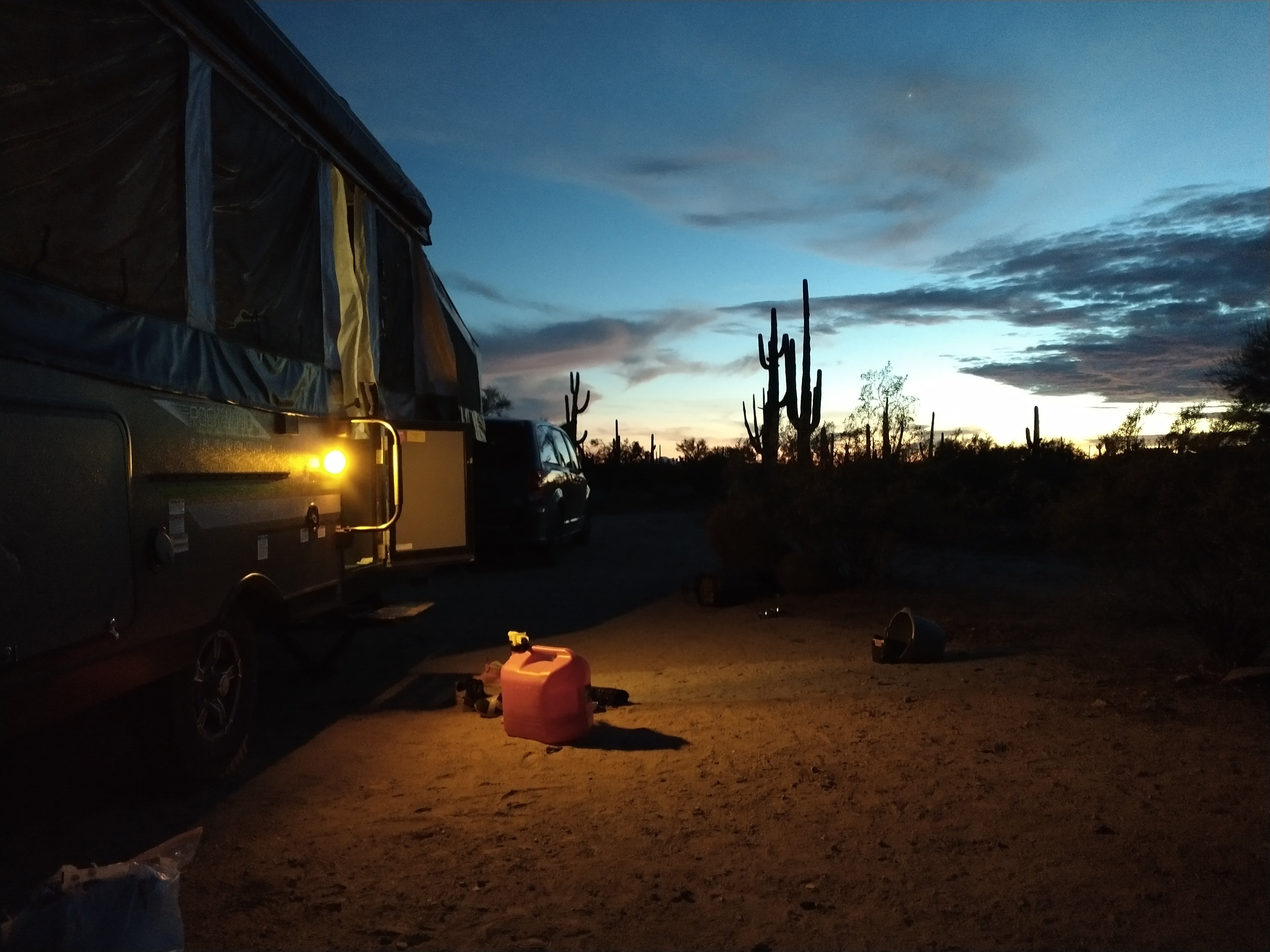 Camper submitted image from Cactus Forest Dispersed - 5