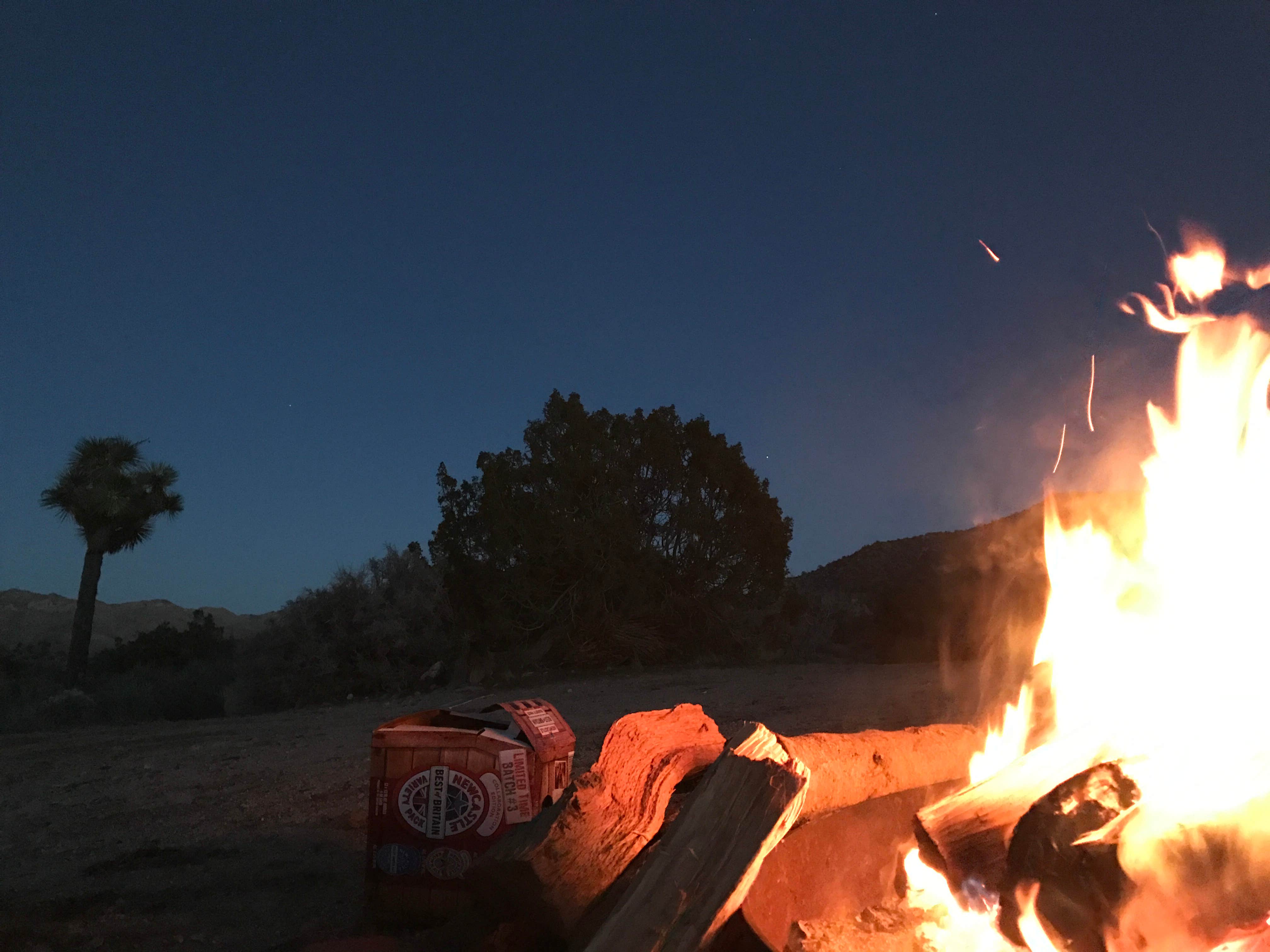 Dan D.'s photo at Black Rock Campground — Joshua Tree National Park near Pioneertown, CA
