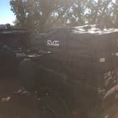 Review photo of Saddlehorn Campground — Colorado National Monument by Michelle  T., November 2, 2021