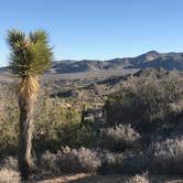 Review photo of Black Rock Campground — Joshua Tree National Park by Dan D., July 6, 2018
