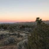 Review photo of Black Rock Campground — Joshua Tree National Park by Dan D., July 6, 2018