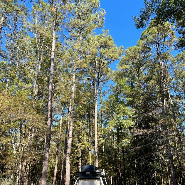 Cloud Crossing Complex Camping Goldonna, LA