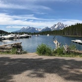 Review photo of Jenny Lake Campground — Grand Teton National Park by Michelle  T., November 2, 2021