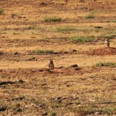 Review photo of Wild Horse Equestrian Area — Caprock Canyons State Park by Michelle  T., November 2, 2021