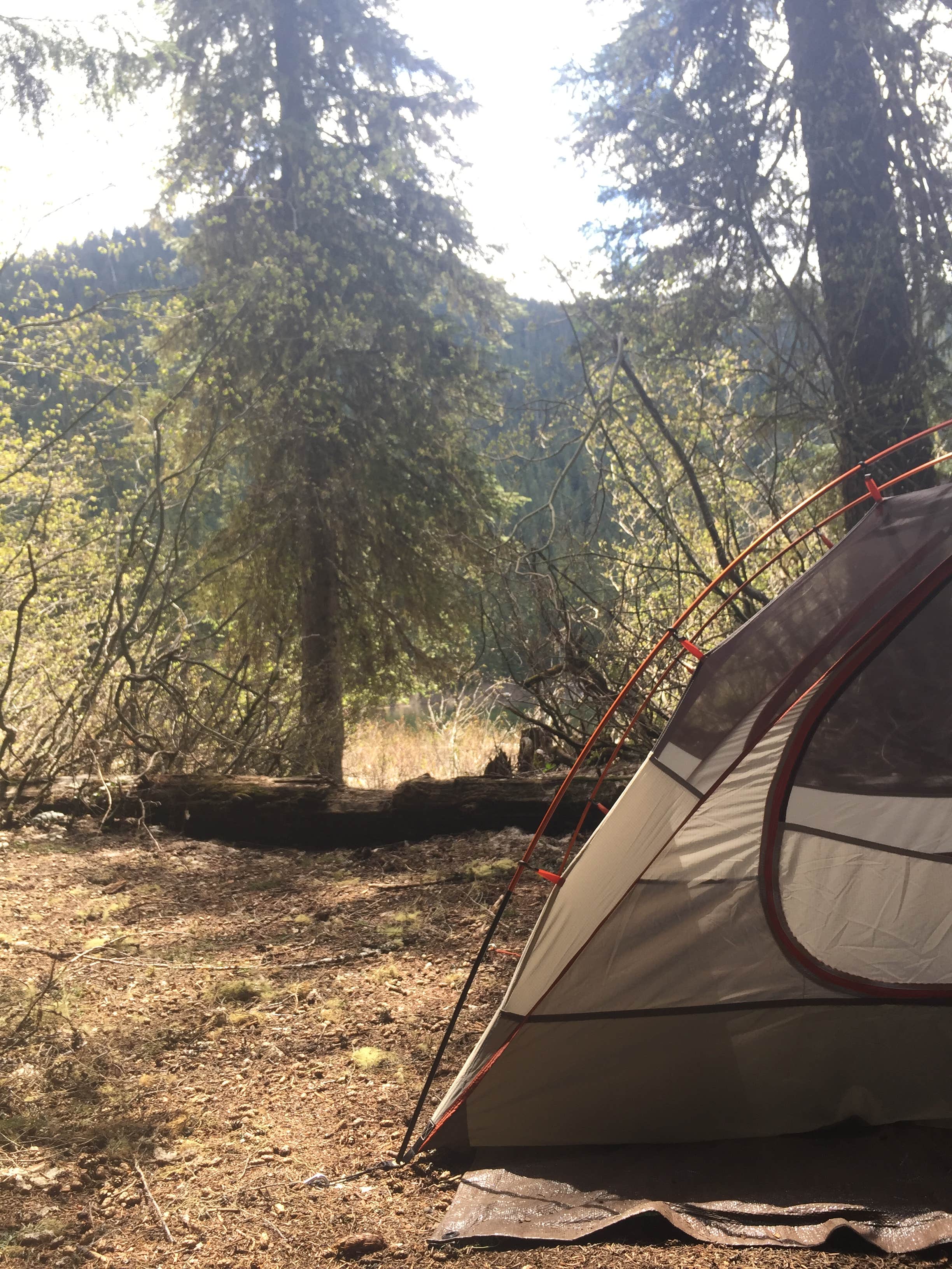 Maggie M.'s photo of tent camping at Owhi Campground near Cle Elum, WA