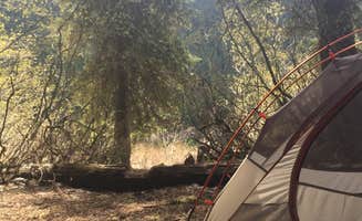 Maggie M.'s photo of tent camping at Owhi Campground near Leavenworth, WA