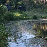 Review photo of Lyndon B. Johnson National Grassland Dispersed Camping by Michelle  T., November 2, 2021