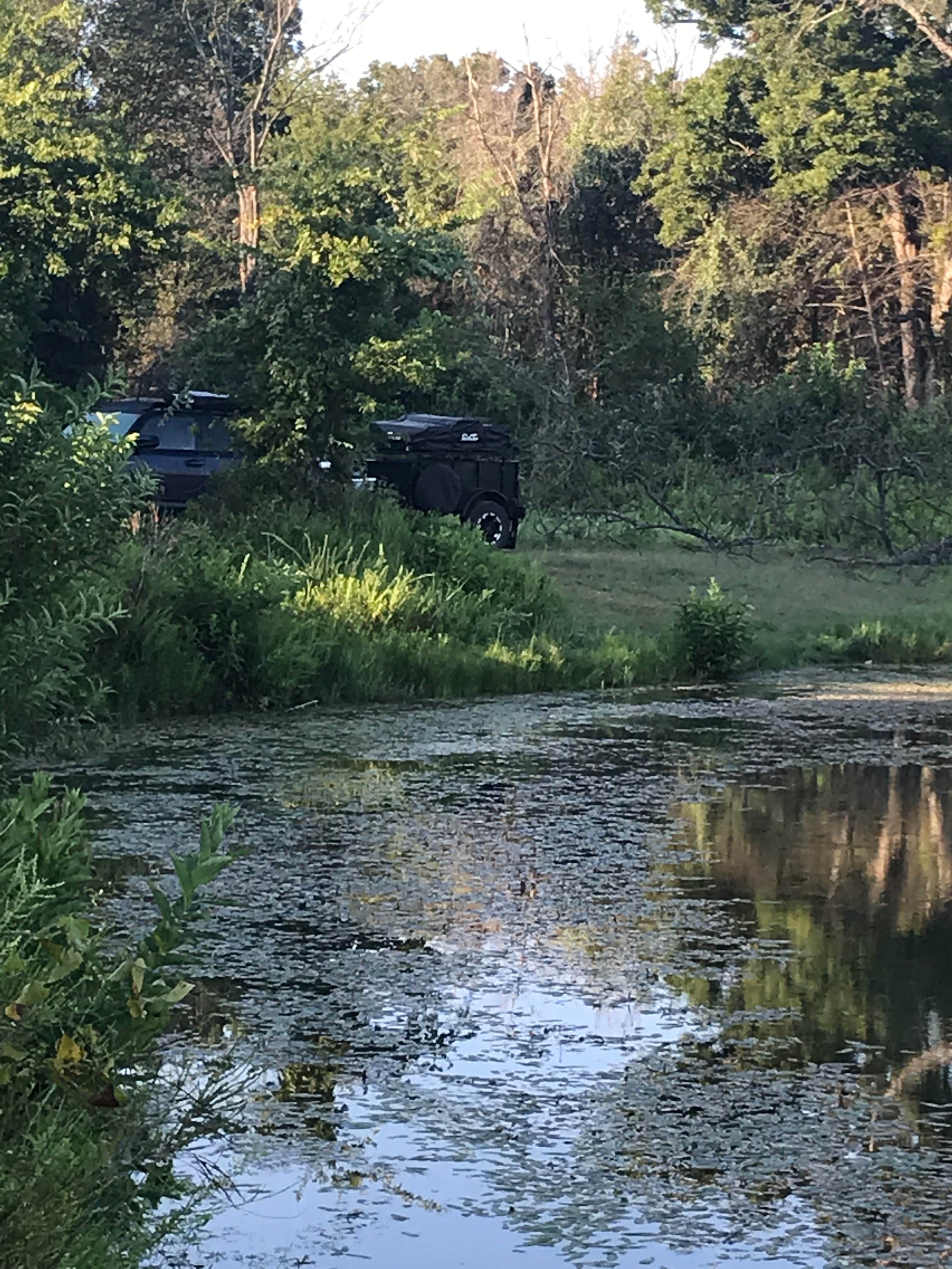 Camper submitted image from Lyndon B. Johnson National Grassland Dispersed Camping - 3