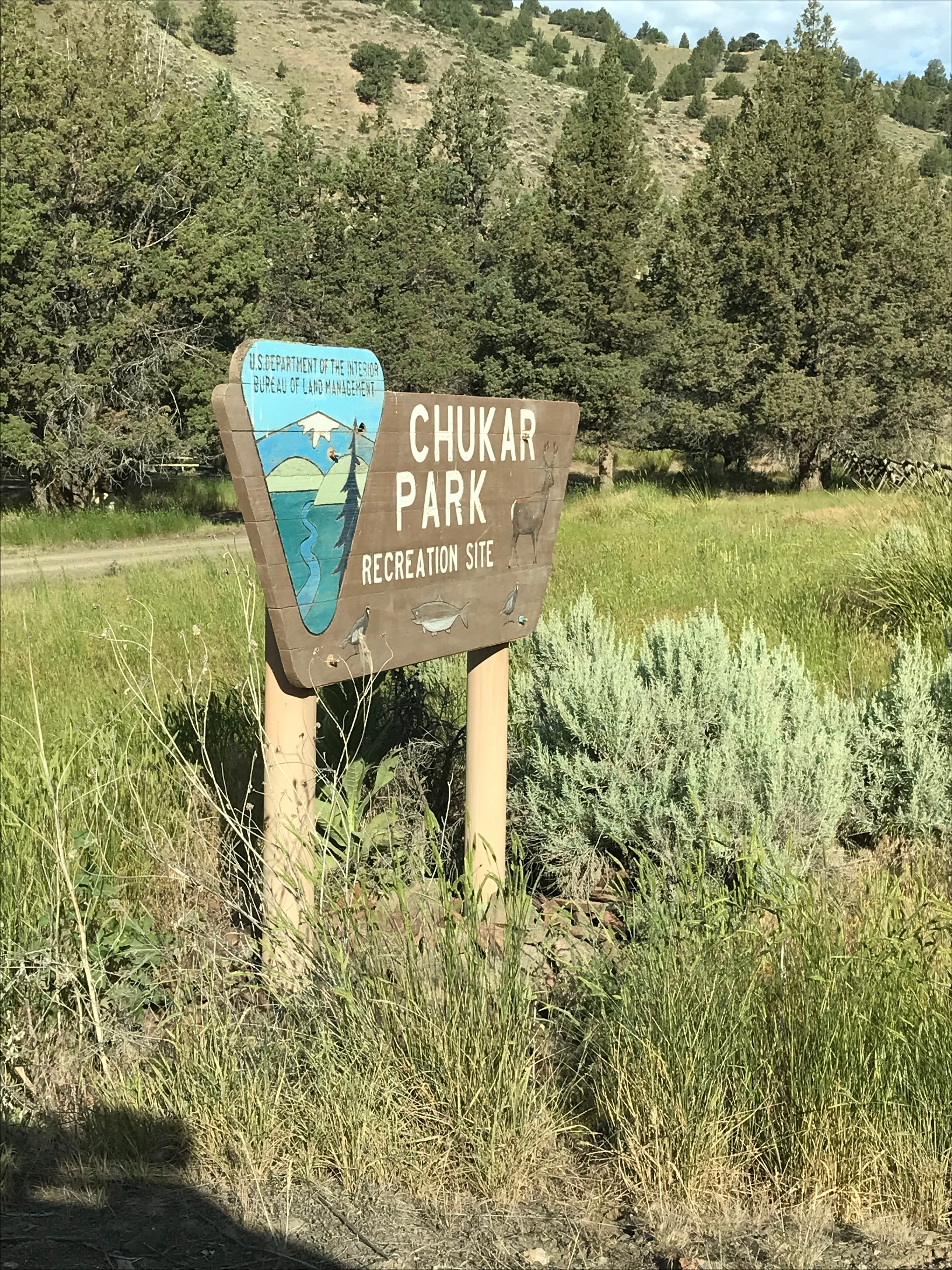 Camper submitted image from Chukar Park Campground - 4