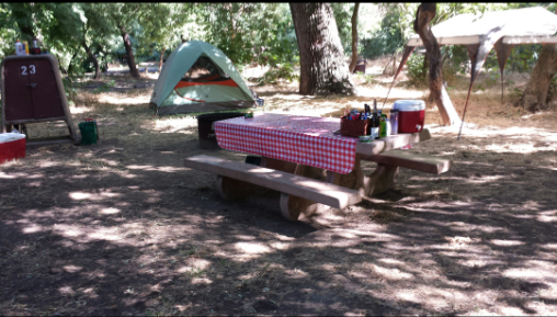 Camper submitted image from Caswell Memorial State Park Campground - 2
