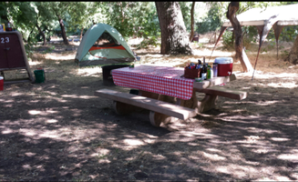 Lisamarie S.'s photo at Caswell Memorial State Park Campground near Stockton, CA