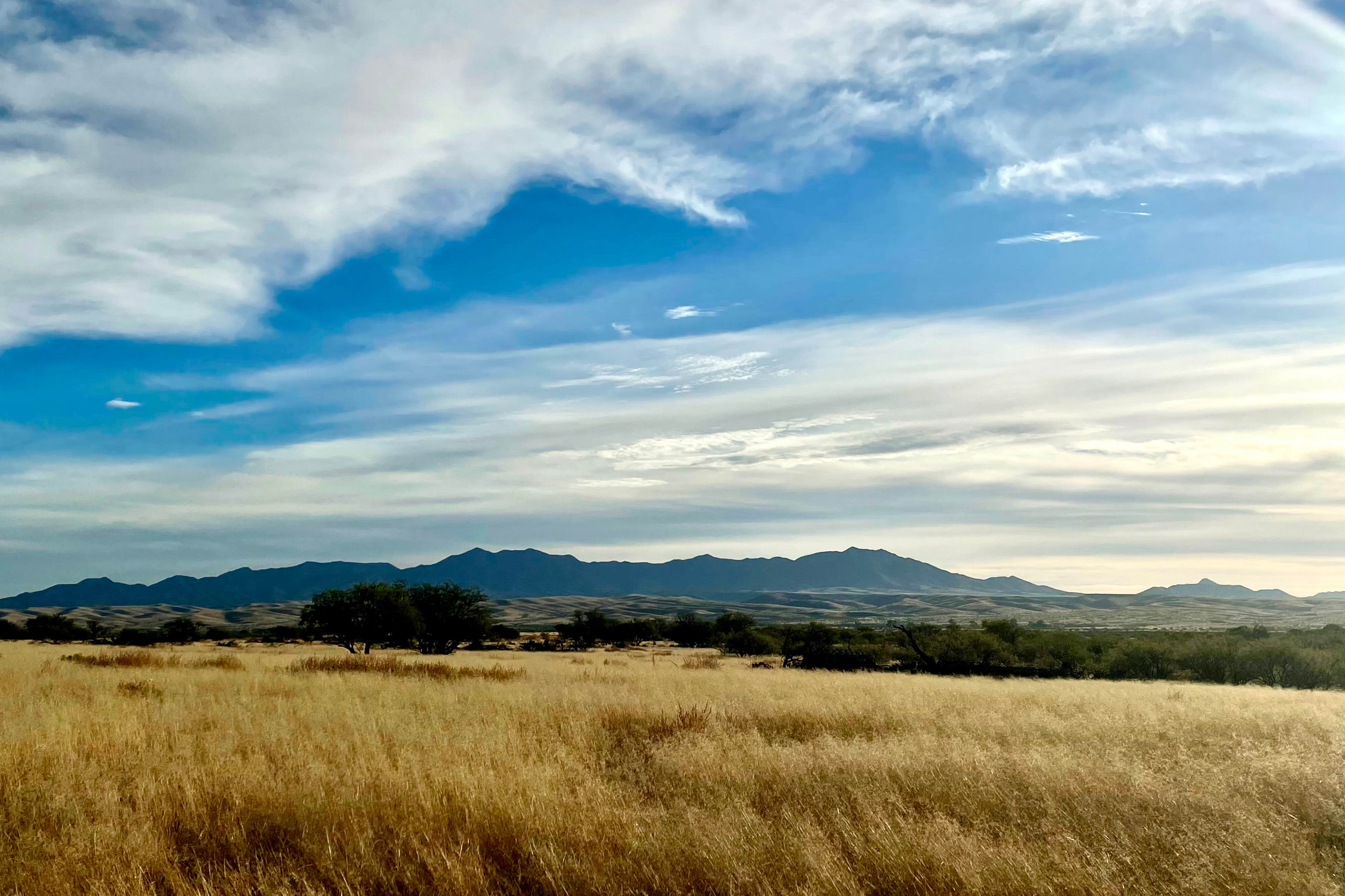 VanpeDiem D.'s photo of a dispersed camping area at Cieneguita Dispersed Camping Area - Las Cienegas National Conservation Area near Coronado National Forest