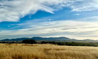 VanpeDiem D.'s photo of a dispersed camping area at Cieneguita Dispersed Camping Area - Las Cienegas National Conservation Area near Saguaro National Park