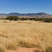 Review photo of Cieneguita Dispersed Camping Area - Las Cienegas National Conservation Area by VanpeDiem D., November 2, 2021