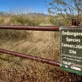 Review photo of Cieneguita Dispersed Camping Area - Las Cienegas National Conservation Area by VanpeDiem D., November 2, 2021