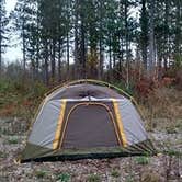 Review photo of Hungry Man Forest Campground by Carrie S., July 6, 2018