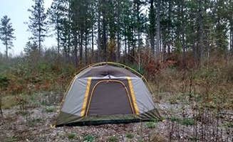 Carrie S.'s photo at Hungry Man Forest Campground near Horton, MN