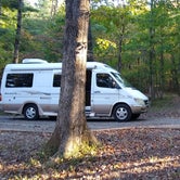 Review photo of Vogel State Park Campground by Glenda , November 2, 2021